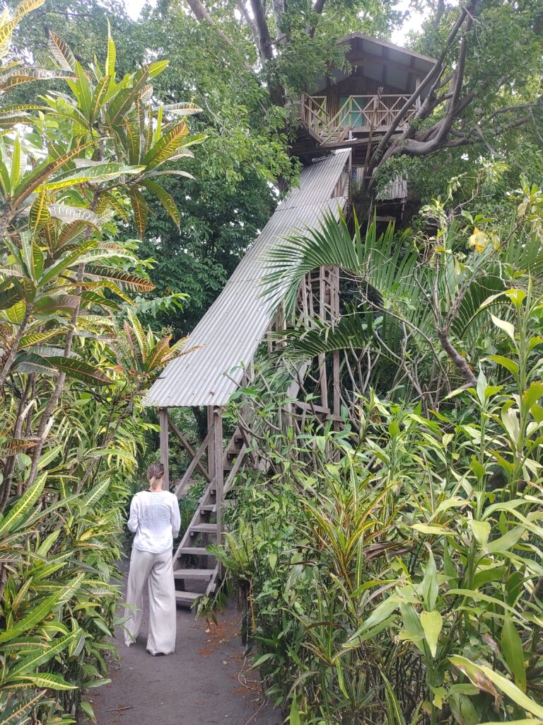 Treehouse, Mt. Yasur, Vanuatu