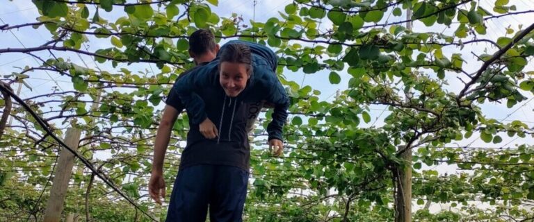 kiwigyümölcs-ültetvényen