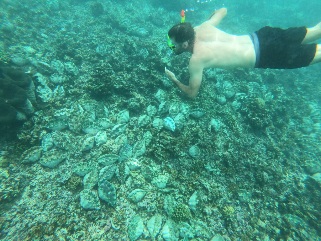 Giant Clams Sanctuary, Szamoa
