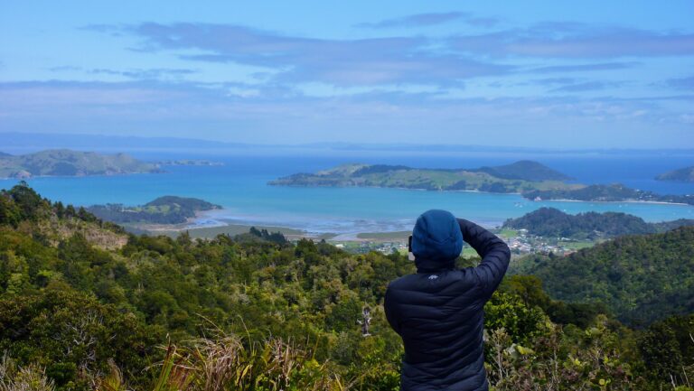 Coromandel-félsziget